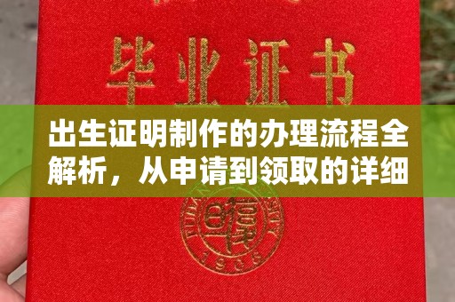 东海出生证明制作的办理流程全解析，从申请到领取的详细指南